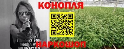 гашик Каменск-Шахтинский