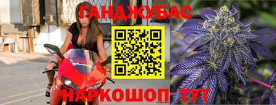 тгк Бийск