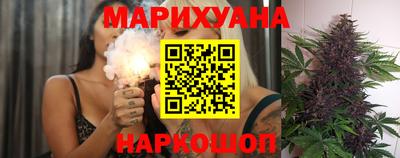 тгк Бийск