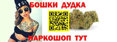 тгк Бийск
