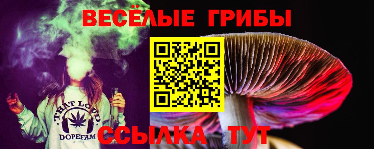 Карпинск  Галлюциногенные грибы GOLDEN TEACHER  Вход с VPN  Псилоцибиновые грибы Magic Shrooms 